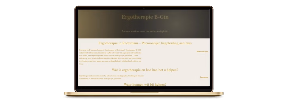 professionele website